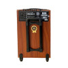 Loa Arirang MKS2.5, Bass 30cm, Công suất 100W, Bluetooth, USB, Guitar, Kèm 2 micro-4