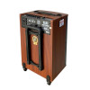 Loa Arirang MKS2.5, Bass 30cm, Công suất 100W, Bluetooth, USB, Guitar, Kèm 2 micro-5