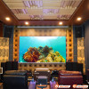 Màn chiếu điện Jmgo (100 Inch và 120 Inch; Tỉ lệ 16:9 có điều khiển)-2
