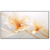 Màn chiếu ALR siêu gần XGIMI 100 inch-1