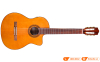 Đàn Guitar Cordoba C5-CE, guitar classic-1