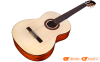 Đàn Guitar Cordoba C5 SP, classic guitar-5