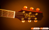 Đàn Guitar Takamine PD4C, guitar acoustic eclectric-7