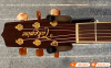 Đàn Guitar Takamine PD4C, guitar acoustic eclectric-8