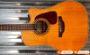 Đàn Guitar Takamine PD4C, guitar acoustic eclectric-14