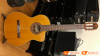 Đàn Guitar Takamine TC132SC, guitar classic-4