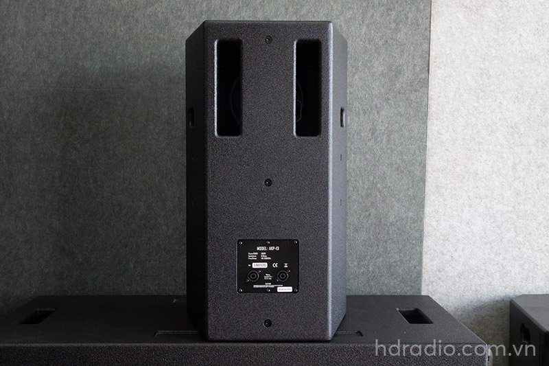 Loa AAP audio AKP-13, Bass 30cm, 450W, 35Kg-5