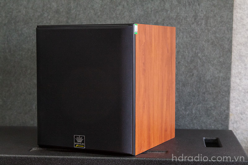 Loa Sub BossElec ASW912, Sub điện, 150W, Bass 30cm-1