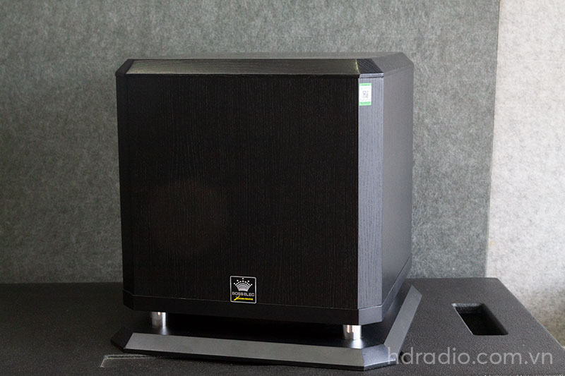 Loa Sub Boss Elec B10, Bass 25cm, 150W-2