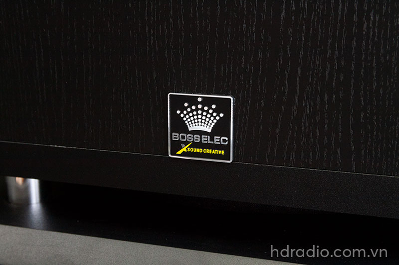 Loa Sub Boss Elec B10, Bass 25cm, 150W-7