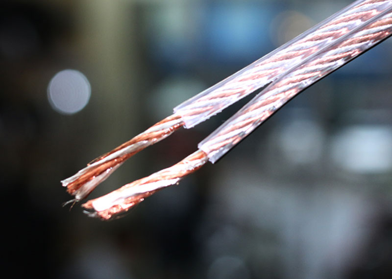 Dây loa Eagle - Cable - Deluxe Silverline Transparent 2x4mm-1