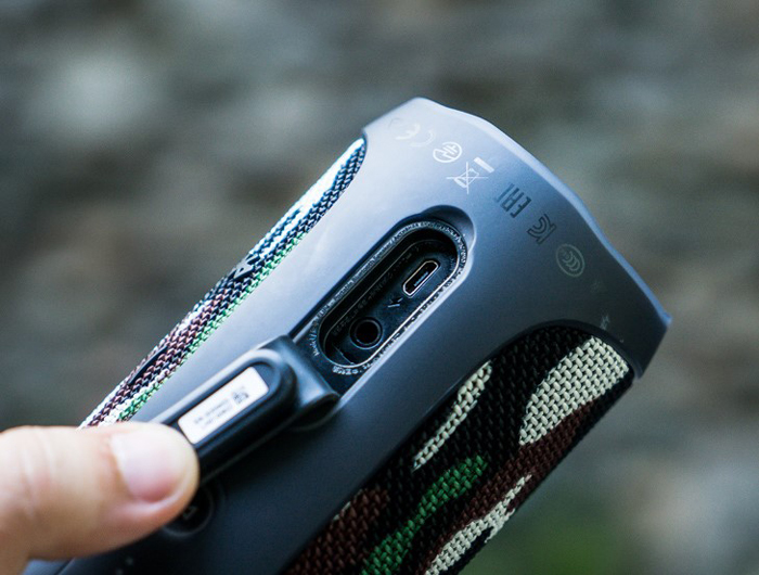 Loa JBL FLIP 4 SPECIAL EDITION-9