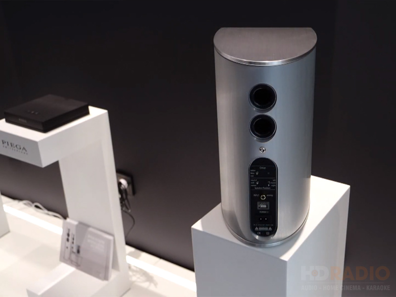Loa bookshelf Piega Premium Wireless 301 (Bass 14cm, Tần số 39Hz-35KHz)-4