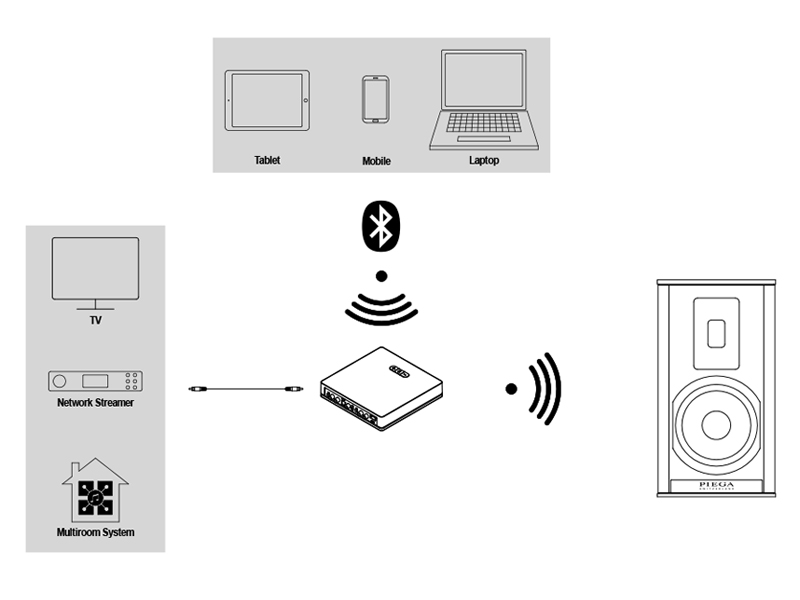 Loa bookshelf Piega Premium Wireless 301 (Bass 14cm, Tần số 39Hz-35KHz)-5