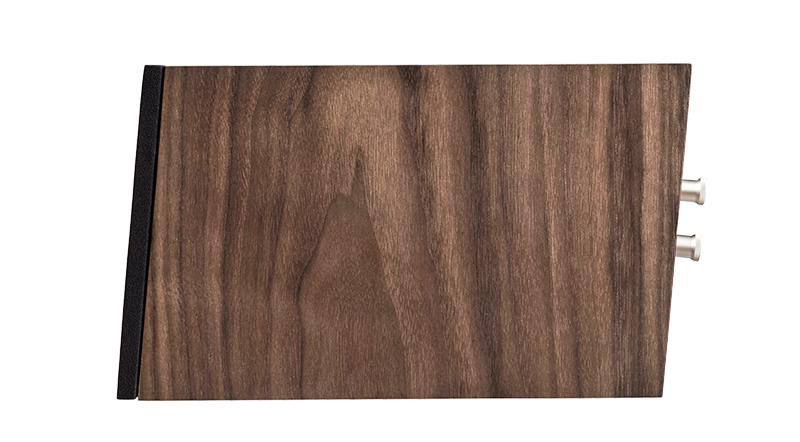 Loa PMC Twenty 5.C (Độ nhạy 90dB, Tần số 45Hz-25KHz)-4