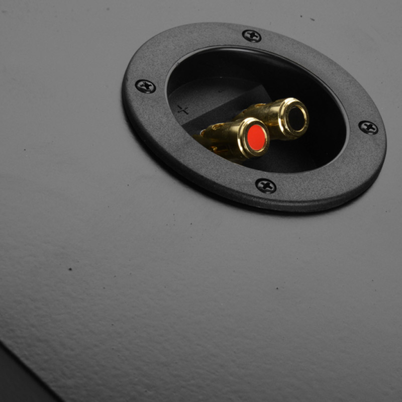 Loa Sub Âm Tường Polk Audio CSW100 (Bass 25cm, Tần số 27Hz-140Hz)-4