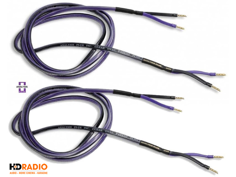 Dây Loa Analysis Clear Oval-1