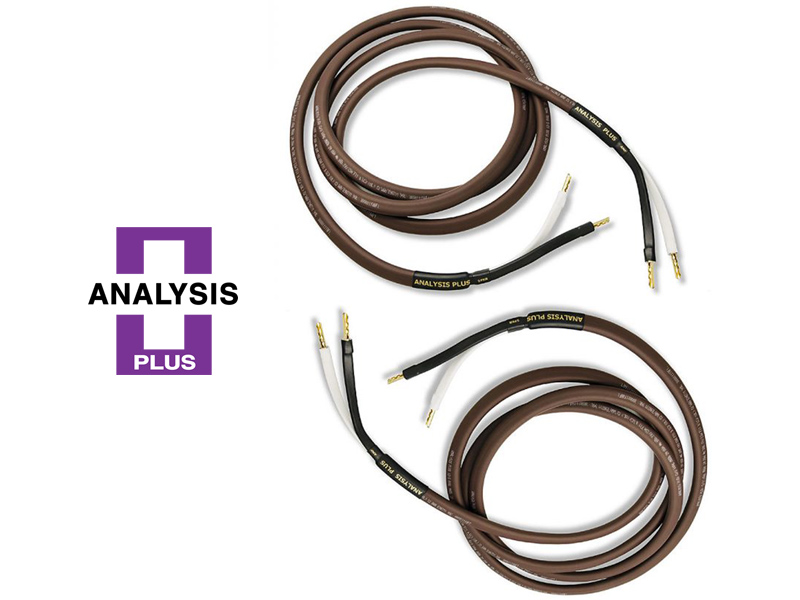 Dây Loa Analysis Oval 12/2-1