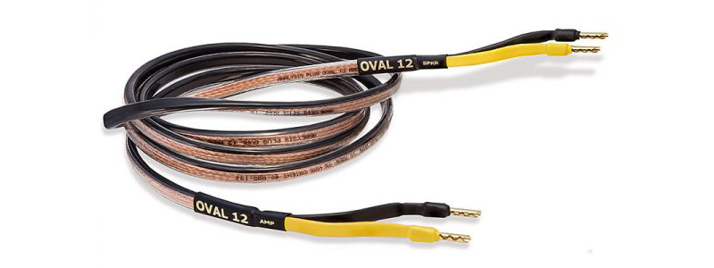 Dây Loa Analysis Oval 12-2