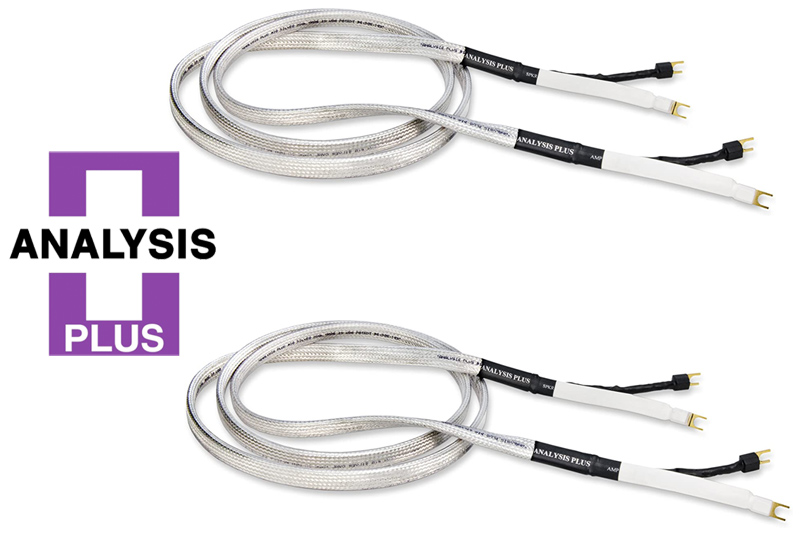 Dây loa Analysis Big Silver Oval-1