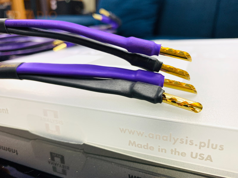 Dây Loa Analysis Clear Oval-5