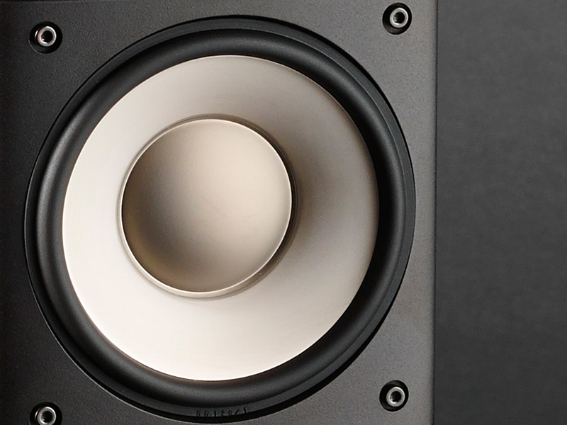 Loa Bookshelf Raidho XT1 (Độ nhạy 85dB, Tần số 80Hz-50KHz)-1