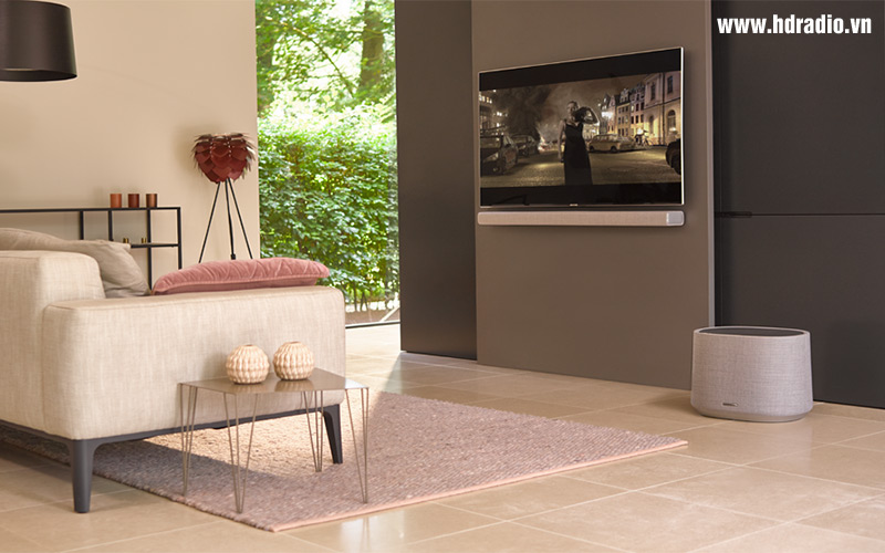 Loa Harman Kardon Citation SUB, Bass 25cm, Công Suất 200W-7