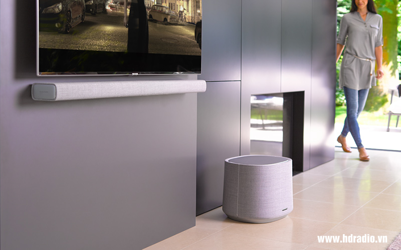 Loa Harman Kardon Citation SUB, Bass 25cm, Công Suất 200W-8