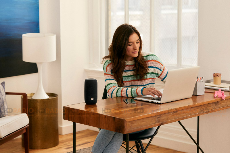 Loa JBL Link Portable-4