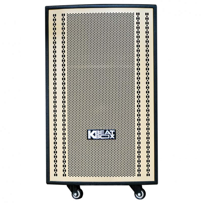 Loa kéo Acnos CB3051G-2