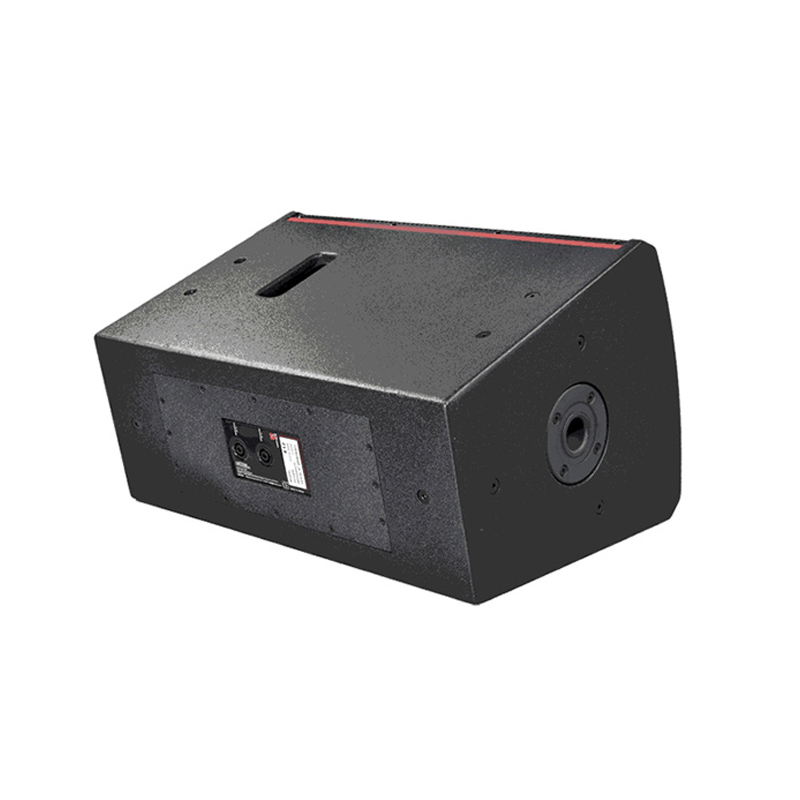 Loa Tecnare E15, Bass 40cm, 400W-3