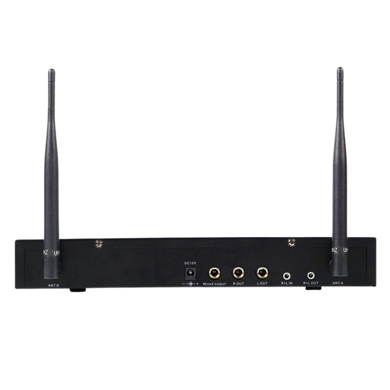 Micro không dây Boston BAM2, Tích hợp Echo, Bluetooth-2