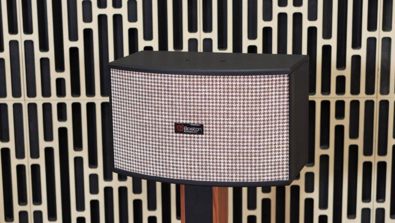 Loa Boston Classic 10, Bass 25cm, 150W-6