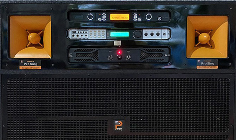 Loa Prosing J97 Pro, Công Suất 1200W, 2 Bass 40 cm, Có 2 Tay Micro (Cắm Điện)-4