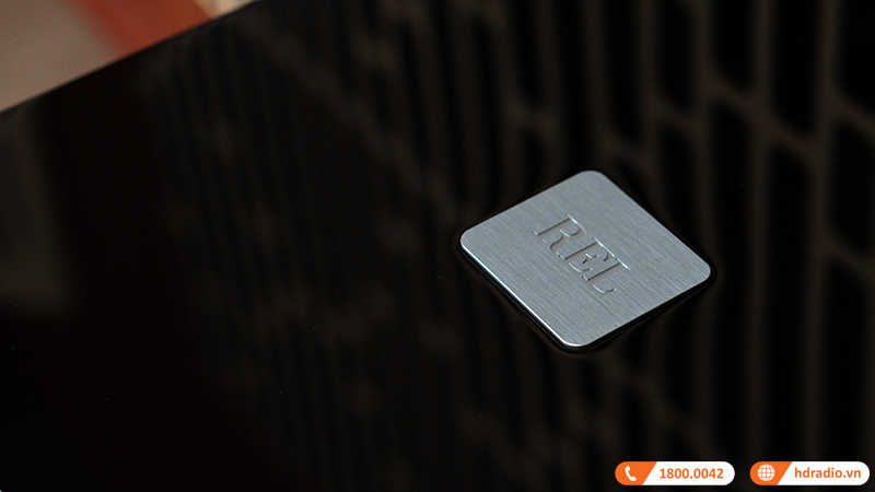 Loa Sub Rel T9X, Công Suất 300W, Bass 25 cm (Sub Điện)-6