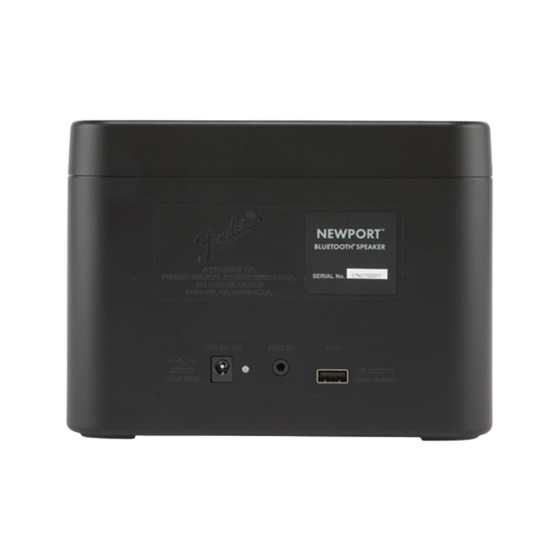 Loa Fender Newport-2