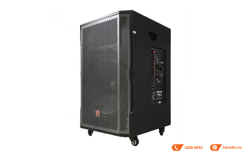 Loa kéo Prosing W18C, Bass 50 cm, Công suất 200W, Kèm 2 tay micro-5