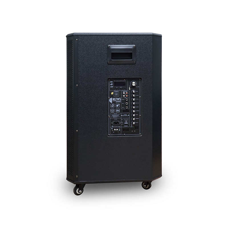 Loa Kéo Kiwi K6018, Bass 50cm, 1000W-2