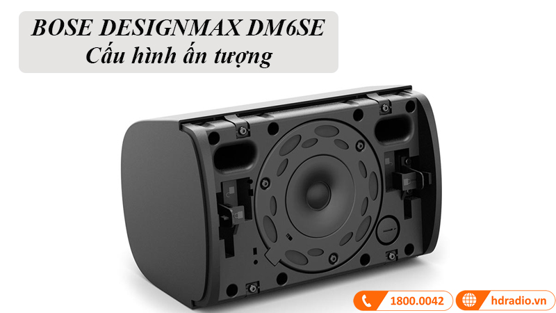 Loa Treo Tường Bose Designmax DM6SE, Bass 16.5cm, 125W-2