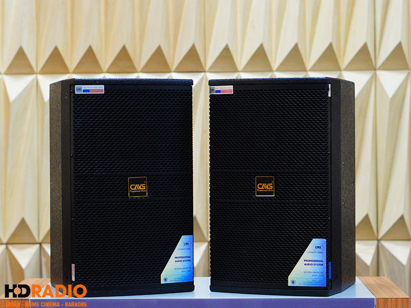 Loa CAVS LS710, Bass 25, 300W-1