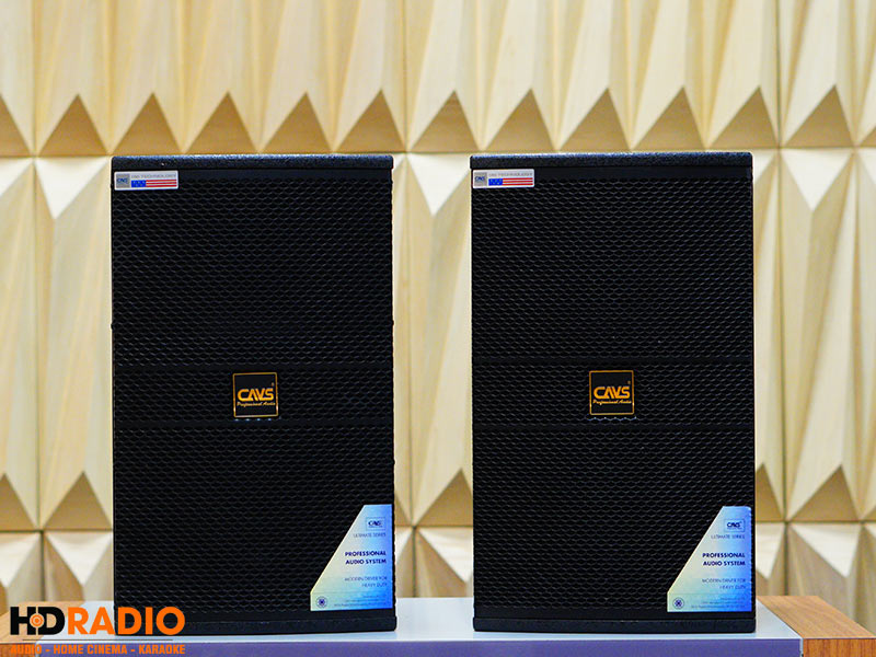Loa CAVS LS710, Bass 25, 300W-2