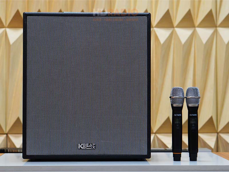 Loa Acnos KSNET550 (BLack Color), Bass 16.5cm, Công Suất 300w, Pin 3-5h-1