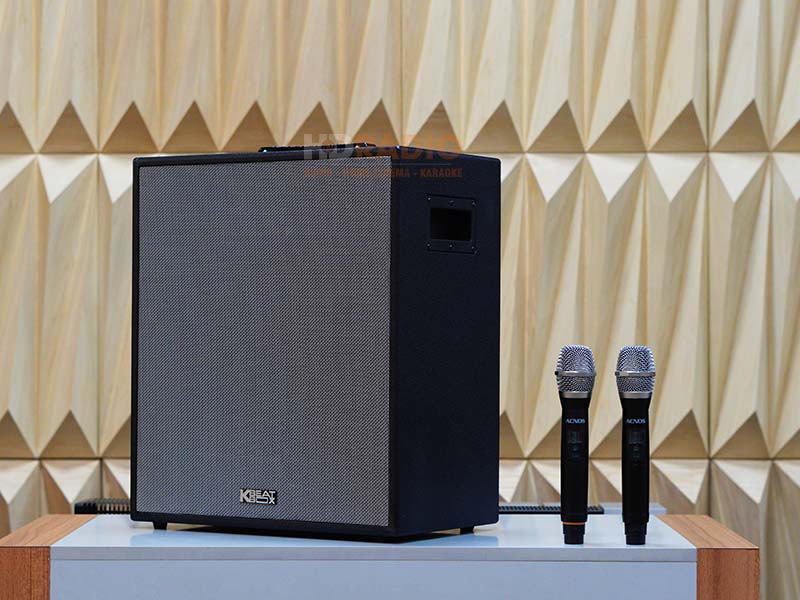 Loa Acnos KSNET550 (BLack Color), Bass 16.5cm, Công Suất 300w, Pin 3-5h-2