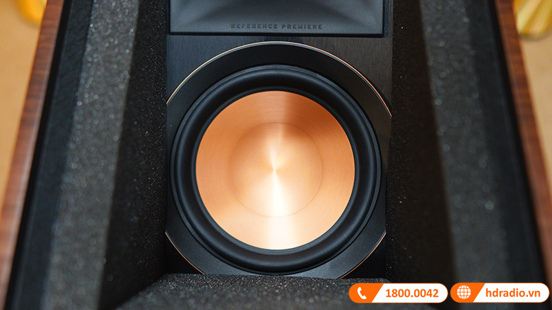 Loa Klipsch RP8060FA (Độ nhạy 98dB, Tần số 32Hz-25KHz)-12