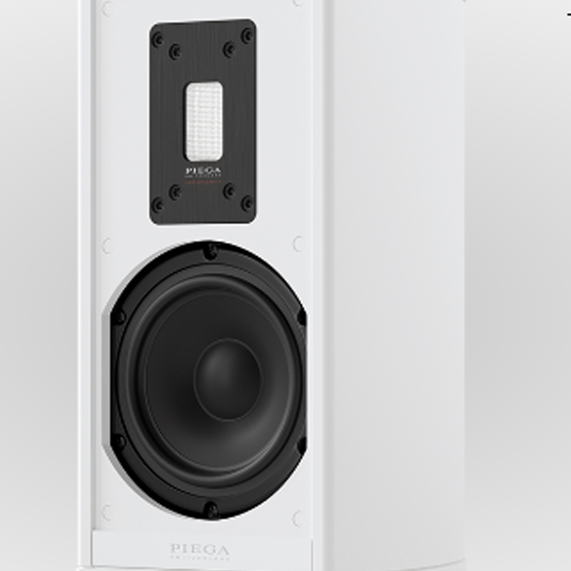 Loa Piega Premium 301 (Độ nhạy 89dB, Tần số 39Hz-50KHz)-4