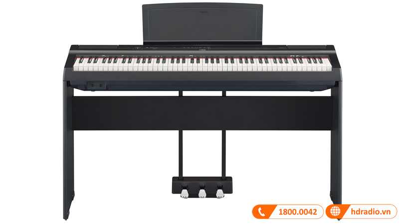 Đàn Piano Yamaha P125, piano điện-2