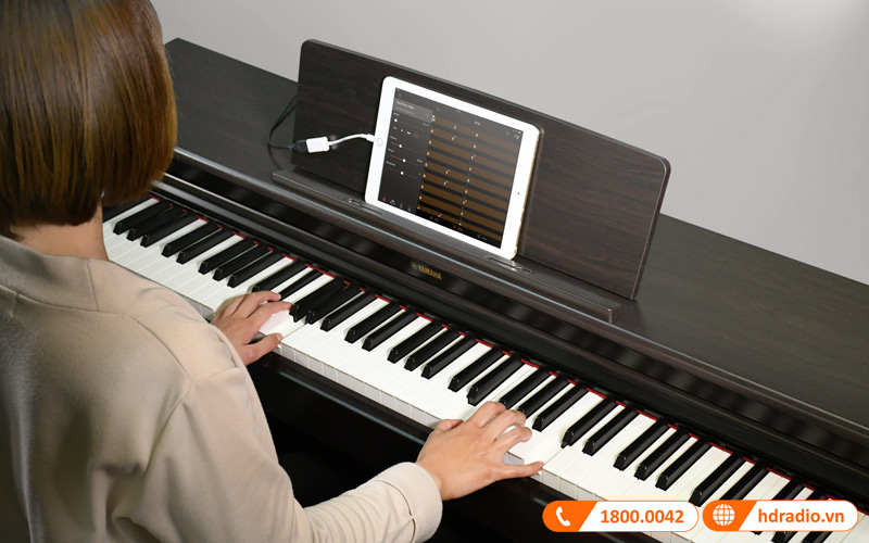 Đàn Piano Yamaha YDP 144, piano điện-16