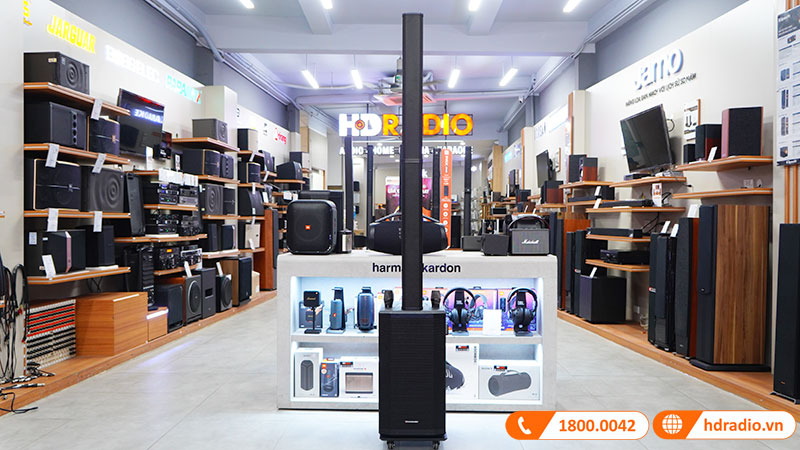 Loa Boston L10 Pro-2