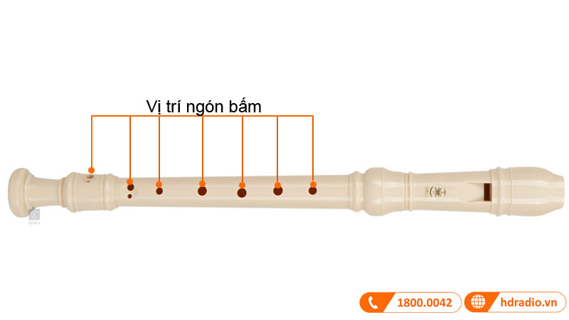 Sáo Tiêu Yamaha YRS-23-8