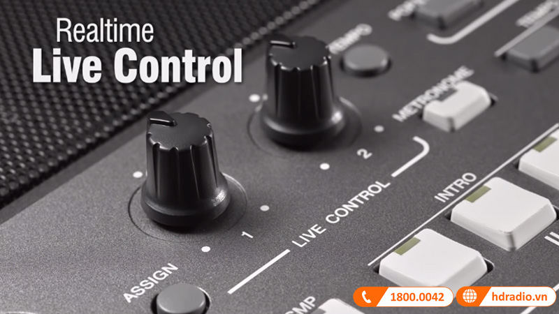 Đàn Organ Yamaha PSR S670-12